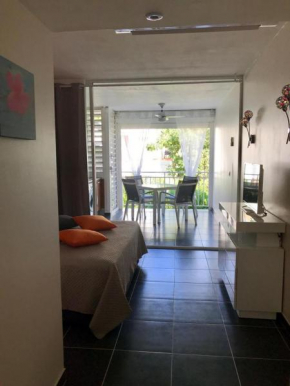 Nouveau Appartement Residence Anse des Rochers piscine et plage